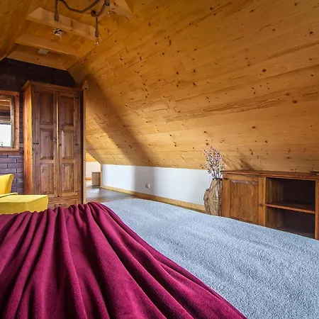 Apartment Stacja Murzasichle