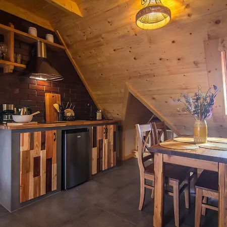 Apartment Stacja Murzasichle
